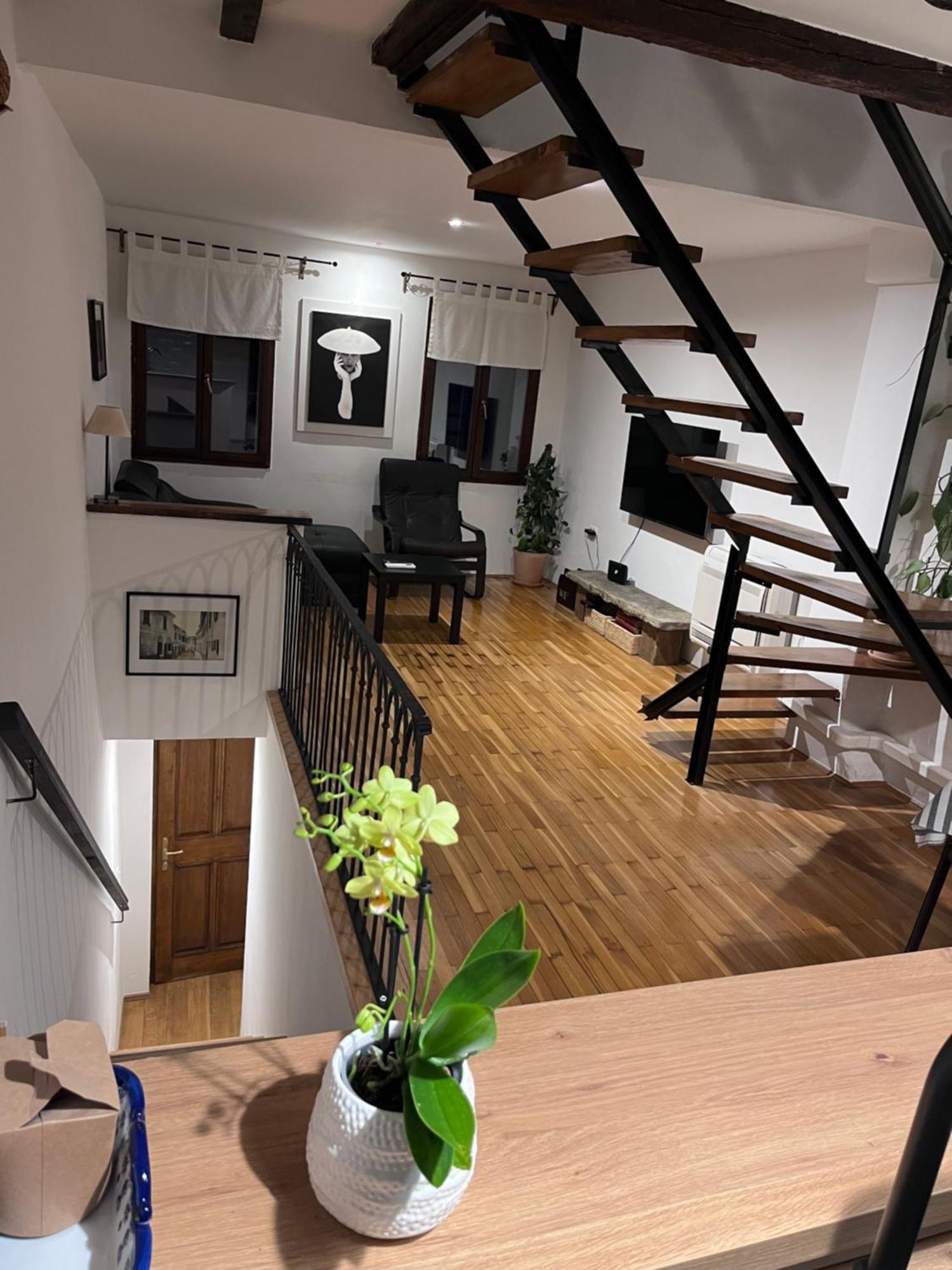 Apartment Capo D'Istria Koper városi község Kültér fotó